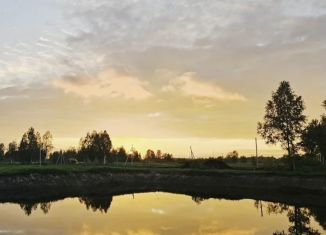 Участок на продажу, 6 сот., деревня Решетникова, улица Луговых Трав