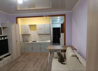 1-комнатная квартира на продажу, 36.1 м2, Магнитогорск, Западное шоссе, 99