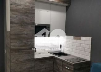 Продается 1-ком. квартира, 35.2 м2, Новосибирск, Покатная улица, 55А, метро Речной вокзал