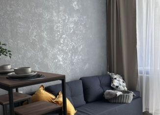 Квартира в аренду студия, 23 м2, Краснодар, Тепличная улица, 62/1к6, микрорайон Завод Радиоизмерительных Приборов