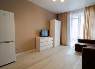 Квартира на продажу студия, 25.4 м2, посёлок Знаменский, Природная улица, 10Бк5