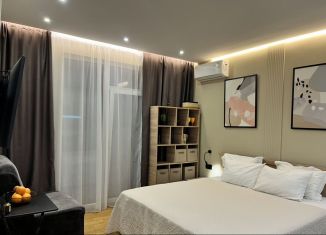 Сдаю квартиру студию, 26 м2, Сочи, Православная улица, 16/1, микрорайон Энергетик-Изумруд