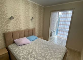 2-комнатная квартира в аренду, 46 м2, Сочи, переулок Трунова, 6к1, микрорайон Завокзальный