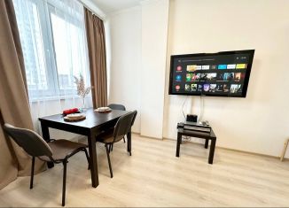 Сдаю квартиру студию, 40.3 м2, Екатеринбург, улица Чапаева, 79
