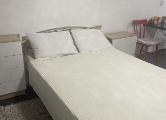 Квартира в аренду студия, 30 м2, Сочи, Альпийская улица, 47А, микрорайон Больничный Городок