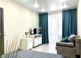 Однокомнатная квартира в аренду, 35 м2, Ульяновск, улица Еремецкого, 11