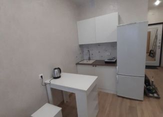 Сдается в аренду квартира студия, 29 м2, Северодвинск, Крымская улица, 10