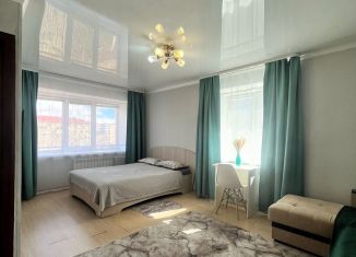 Сдача в аренду однокомнатной квартиры, 32 м2, Республика Башкортостан, улица Пушкина, 5