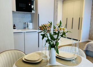 Сдаю в аренду квартиру студию, 29 м2, Северодвинск, улица Ломоносова, 79к4