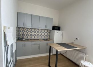 Сдам квартиру студию, 28 м2, Екатеринбург, улица Стрелочников, 2
