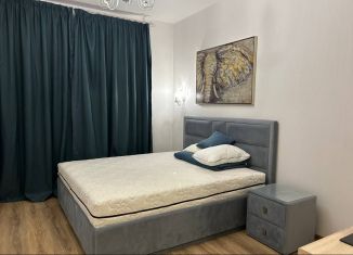 Квартира в аренду студия, 25 м2, Москва, Востряковское шоссе, 7с1, район Тропарёво-Никулино