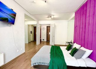 Сдается в аренду 1-комнатная квартира, 41.6 м2, Екатеринбург, улица Циолковского, 27, ЖК Премьер
