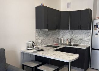 Квартира на продажу студия, 25 м2, Санкт-Петербург, Верхне-Каменская улица, 9к1, Приморский район