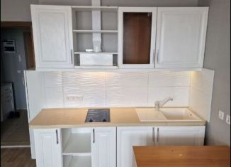 Квартира в аренду студия, 25 м2, Мурино, улица Шувалова, 22к3, ЖК Витамин