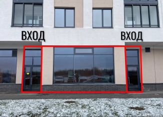 Продажа помещения свободного назначения, 74 м2, Кудрово, проспект Строителей, 1к1