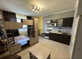 1-комнатная квартира в аренду, 45 м2, Тюмень, Верхнетарманская улица, 5, ЖК Новый Мыс 2.0