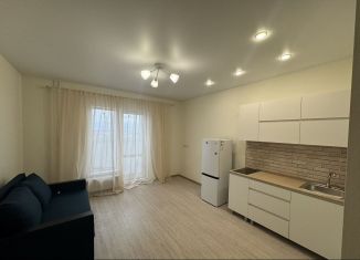 Аренда квартиры студии, 24 м2, городской посёлок Новоселье, Центральная улица, 20