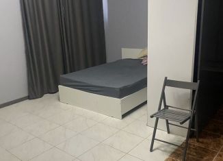 Сдаю в аренду квартиру студию, 35 м2, Краснодар, улица имени Мусоргского М.П., 1ВкВ, Прикубанский округ