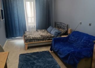 Сдам в аренду квартиру студию, 29 м2, Липецк, Индустриальная улица