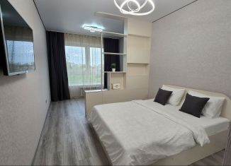 Сдается однокомнатная квартира, 48 м2, Орёл, улица Генерала Родина, Советский район