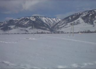 Продажа участка, 12 сот., село Усть-Кокса, Казачья улица