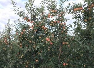 Продается земельный участок, 400 сот., село Зыбины, улица Кирова