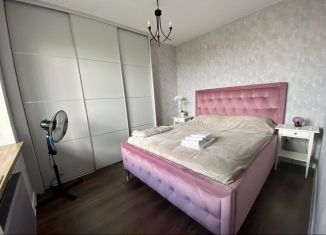 Сдается 1-ком. квартира, 50 м2, Санкт-Петербург, проспект Космонавтов, 65к2, проспект Космонавтов