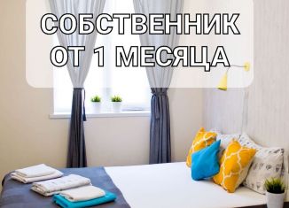 Сдаю в аренду однокомнатную квартиру, 32 м2, Краснодар, Станкостроительная улица, 17, микрорайон Горгаз