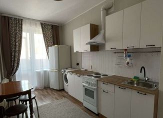 Аренда 1-ком. квартиры, 37 м2, Пермь, Холмогорская улица, ЖК Авиатор