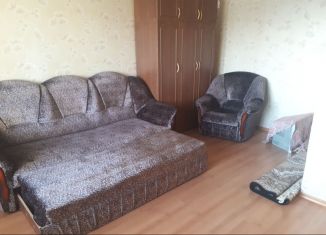 Продам однокомнатную квартиру, 30 м2, Каменка, улица Ворошилова, 18