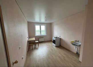 Сдается 3-ком. квартира, 80 м2, Казань, ЖК Салават Купере, проспект Ильгама Шакирова