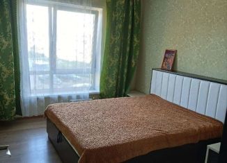 Сдается 2-комнатная квартира, 50 м2, Псков, улица Ижорского Батальона