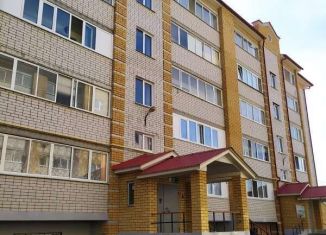 Продажа однокомнатной квартиры, 45.9 м2, посёлок городского типа Васильево, Стахановская улица, 72