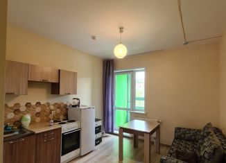 Сдаю 1-комнатную квартиру, 40 м2, Пермь, ЖК Гулливер, улица Революции, 48А