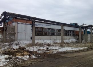 Продажа помещения свободного назначения, 500 м2, Чайковский, Лесозаводская улица, 100