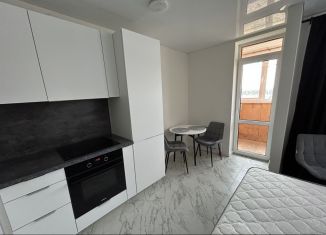 Продается квартира студия, 24 м2, Берёзовский, Новая улица, 20, ЖК Рябина-парк