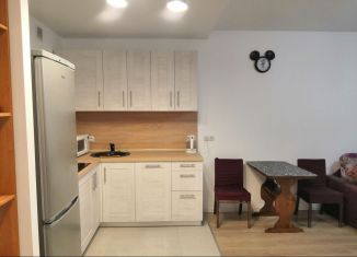 Сдам однокомнатную квартиру, 44 м2, Котельники, микрорайон Парковый, 1, ЖК Белая Дача Парк