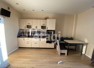 1-комнатная квартира в аренду, 33 м2, Тюмень, Верхнетарманская улица, 5, ЖК Новый Мыс 2.0