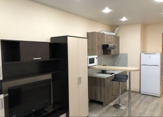 Аренда квартиры студии, 26 м2, Мурино, Петровский бульвар, 7, ЖК Ласточка