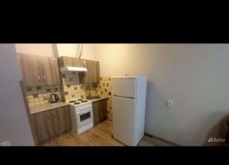 Сдаю в аренду квартиру студию, 30 м2, Ростов-на-Дону, улица Тимофеева, 14к2, ЖК Платовский