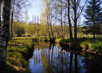 Продается земельный участок, 100 сот., Раздольевское сельское поселение