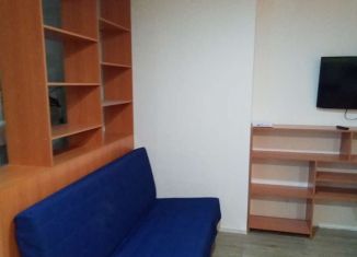 Сдам квартиру студию, 31 м2, Новосибирск, улица Титова, 252