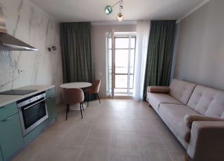 Однокомнатная квартира в аренду, 45 м2, Санкт-Петербург, Плесецкая улица, 6