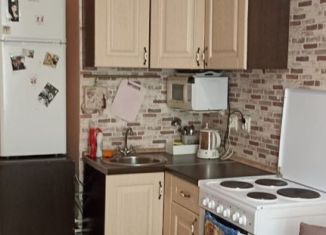 Сдается в аренду квартира студия, 24 м2, Мурино, ЖК Ласточка, Петровский бульвар, 7