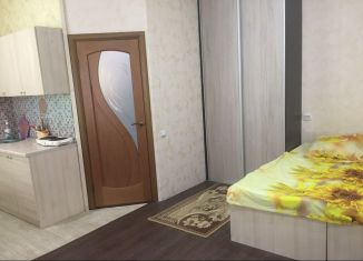 Квартира в аренду студия, 25 м2, Краснодарский край, улица Кирова, 17