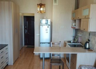 Сдам квартиру студию, 26 м2, Санкт-Петербург, улица Софьи Ковалевской, 16к5, метро Академическая