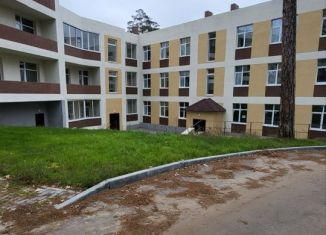 Продается 1-ком. квартира, 47 м2, рабочий посёлок Волжский, улица Жилгородок, 21А