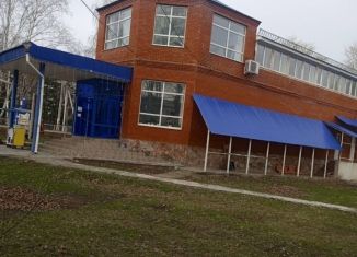 Продается торговая площадь, 320 м2, село Буздяк, Красноармейская улица, 33