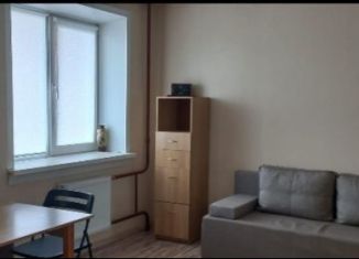 Квартира в аренду студия, 32 м2, Новосибирск, улица Сержанта Коротаева, 7, метро Площадь Маркса
