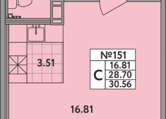 Продаю квартиру студию, 28.7 м2, деревня Новое Девяткино, деревня Новое Девяткино, 115